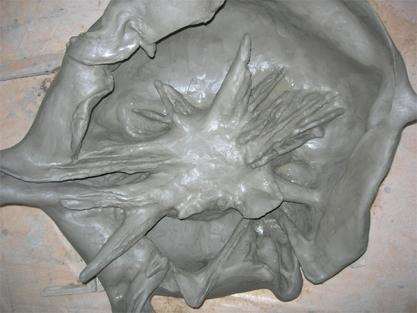 cellule